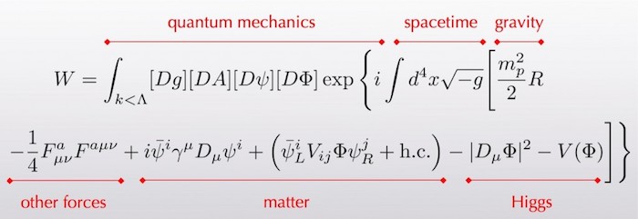 The total action of the physics of the standard model together with general relativity as presented by Sean Carroll on his blog. In this all encompassing equation, fermions are the quanta of the \psi fields and bosons are the quanta of the g, A, and \Phi fields.