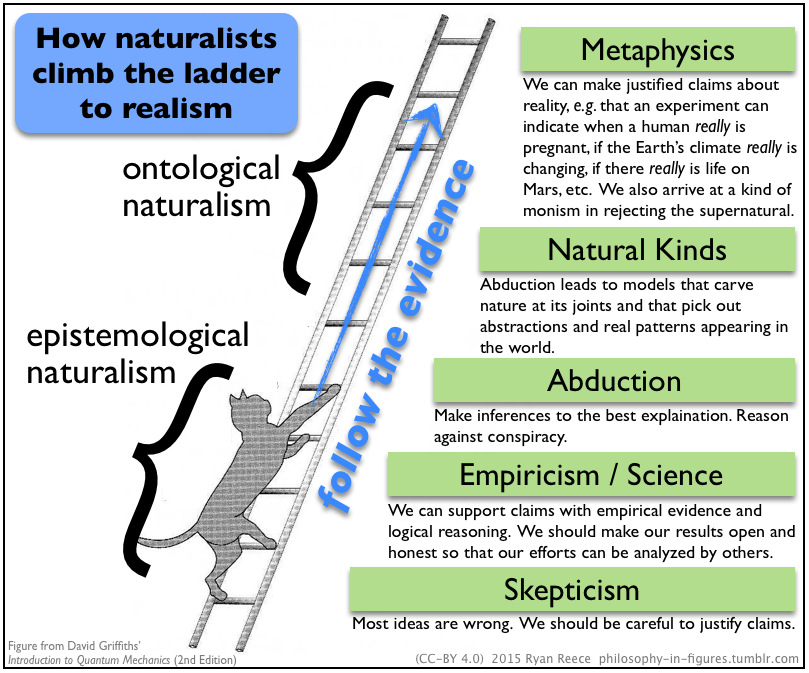 Figure 6: How naturalist climb the ladder to realism (philosophy-in-figures.tumblr.com, 2015).