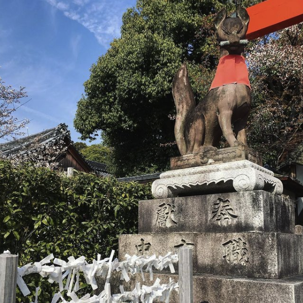 Figure 12: Statues of kitsune (foxes) at Fushimi Inari-taisha (photo by Ryan Reece, 2018).