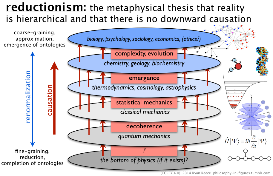 Figure 4: Reductionism (philosophy-in-figures.tumblr.com, 2014).